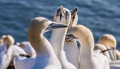 苏超南通队队长李贤成：十二连胜是我们的目标